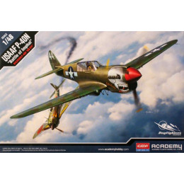 Academy 12341 Сборная модель USAAF P-40N "Battle of Imphal" 1:48
